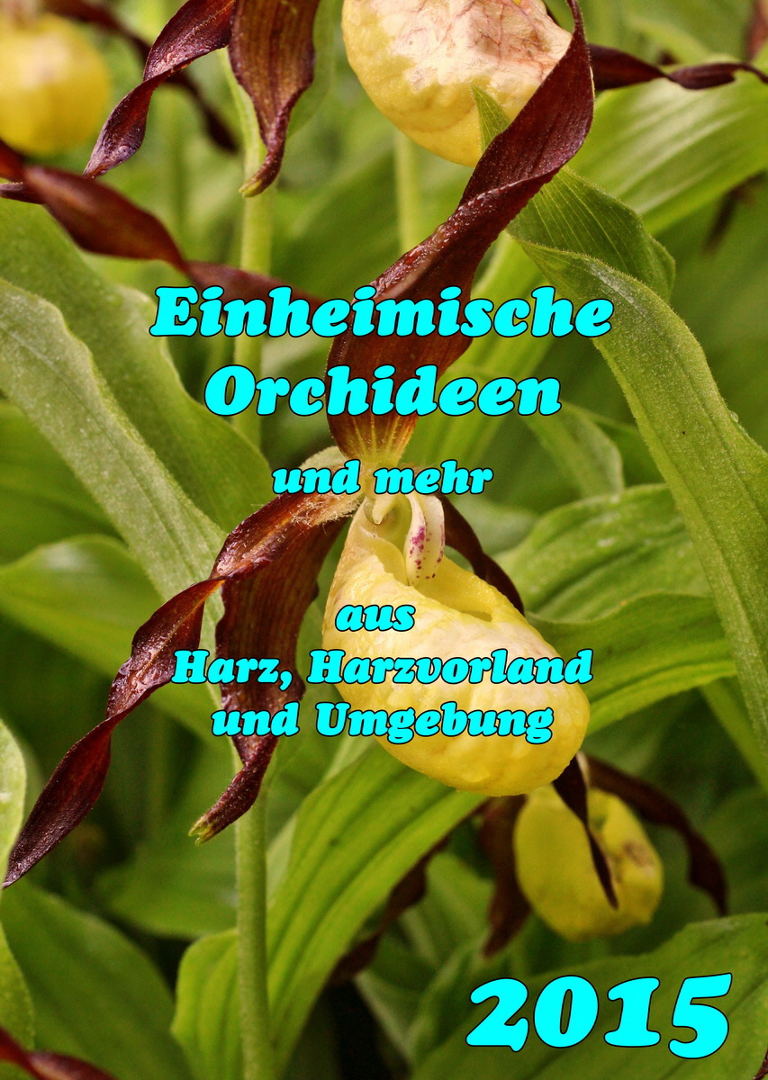 fix00_Bildgr--e--ndern