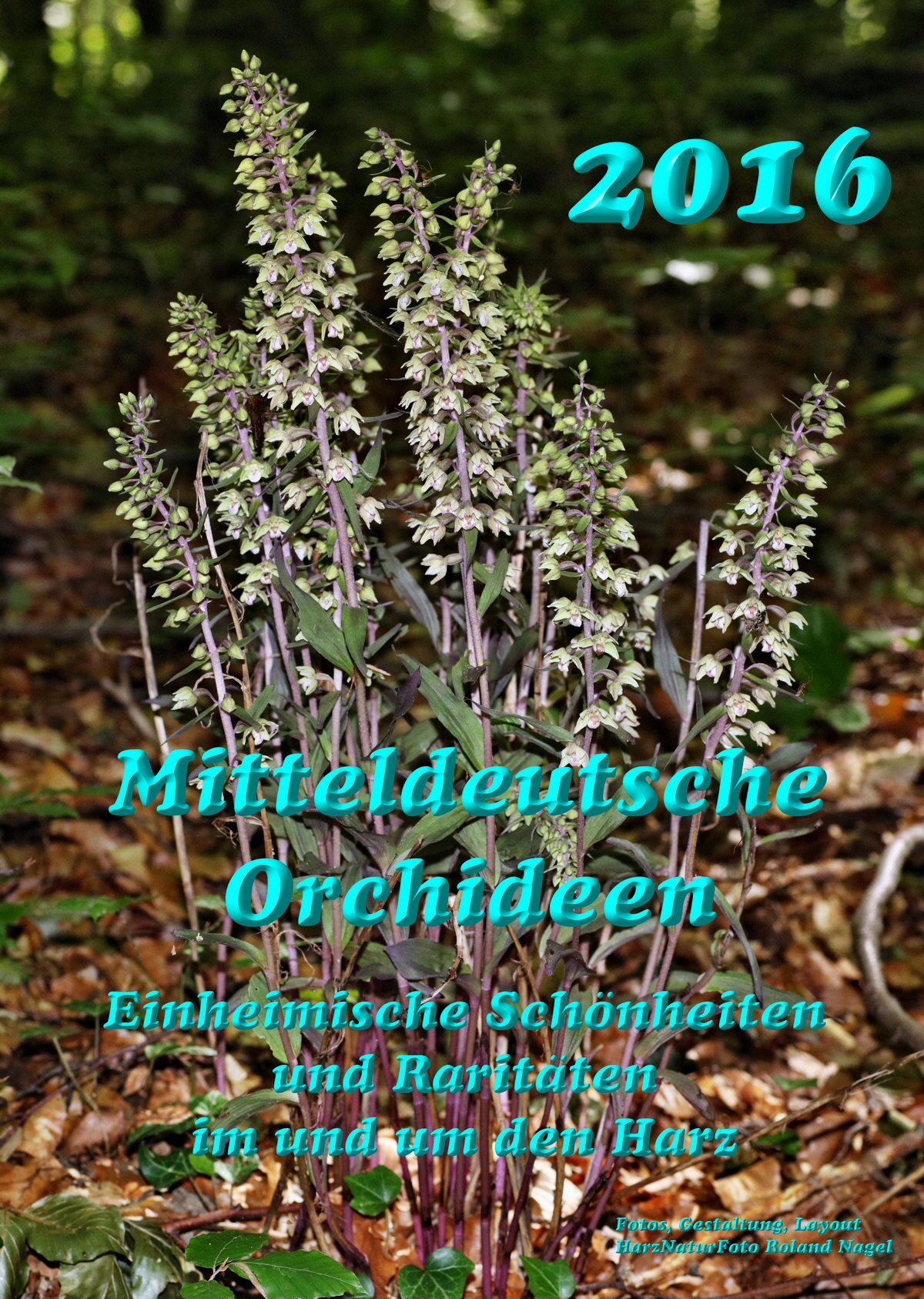 2016-00_Bildgr--e--ndern