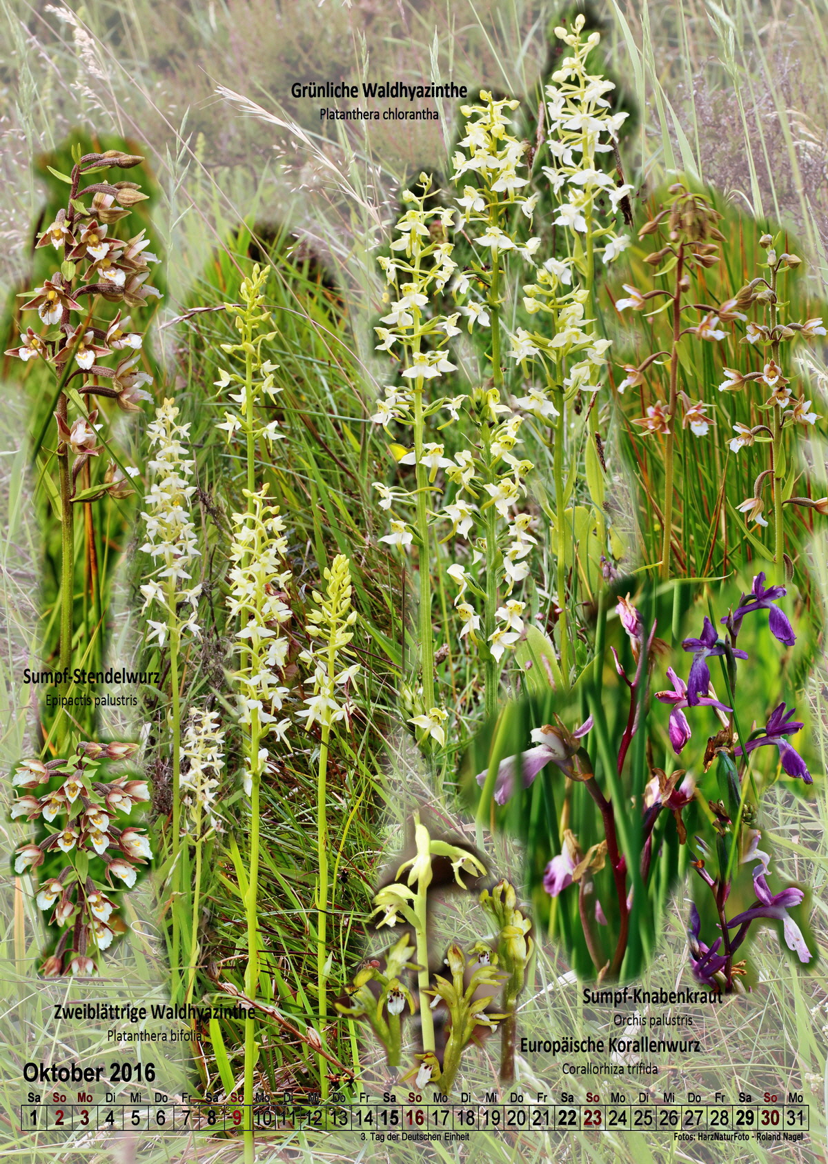 2016-10_Bildgr--e--ndern