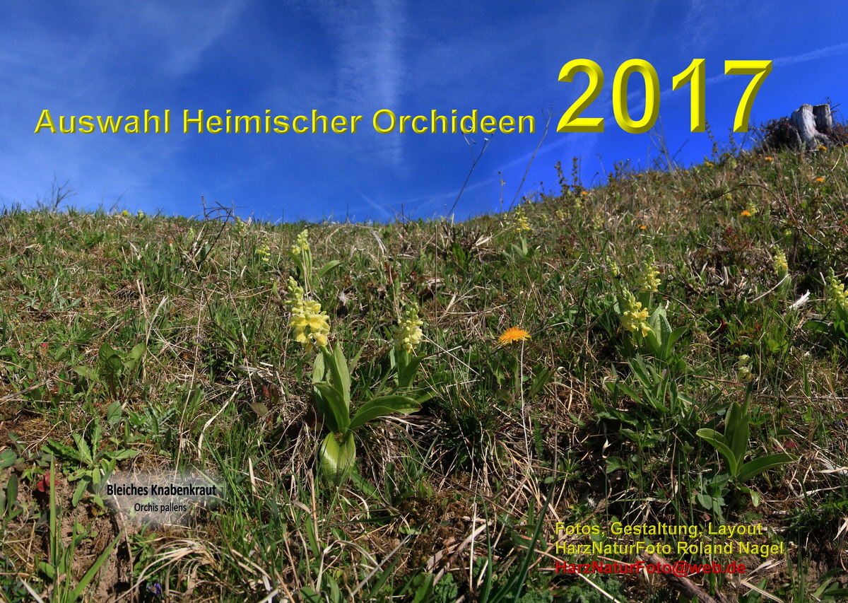 a00_Bildgr��e �ndern