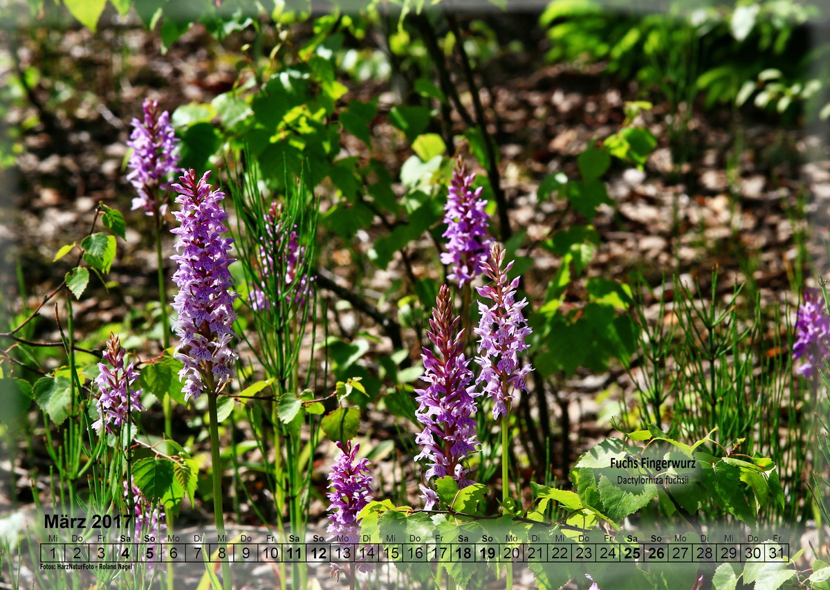 a03_Bildgr��e �ndern