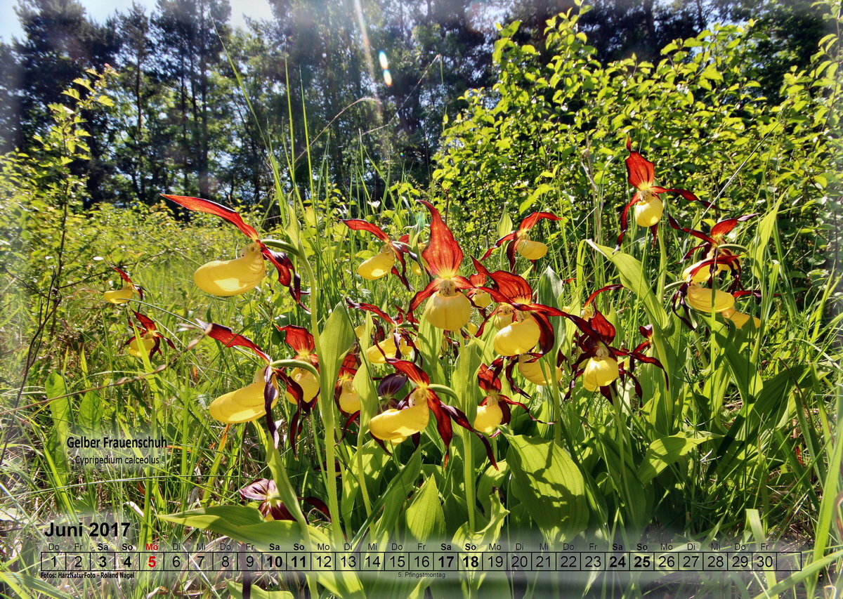 a06_Bildgr��e �ndern