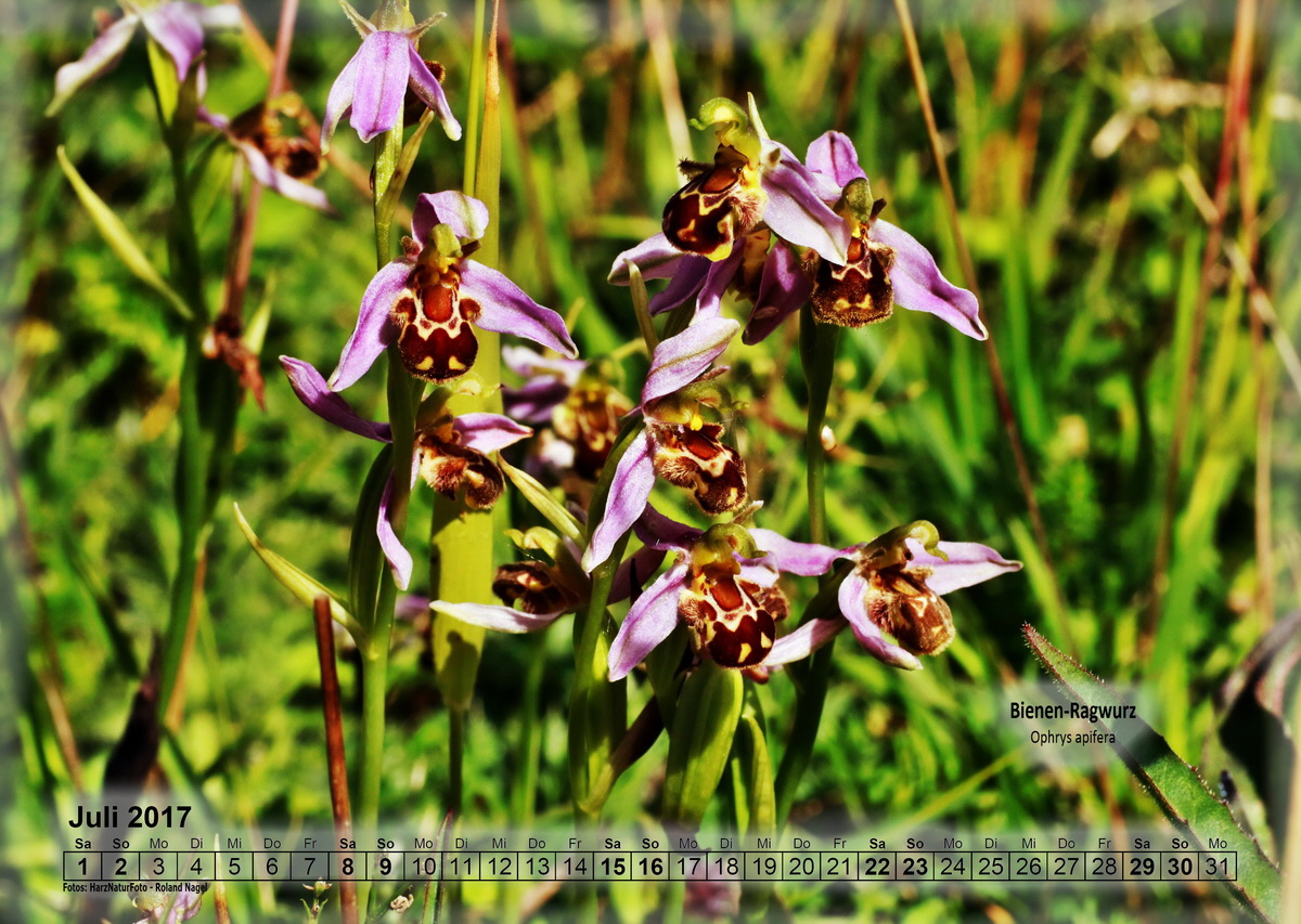 a07_Bildgr��e �ndern