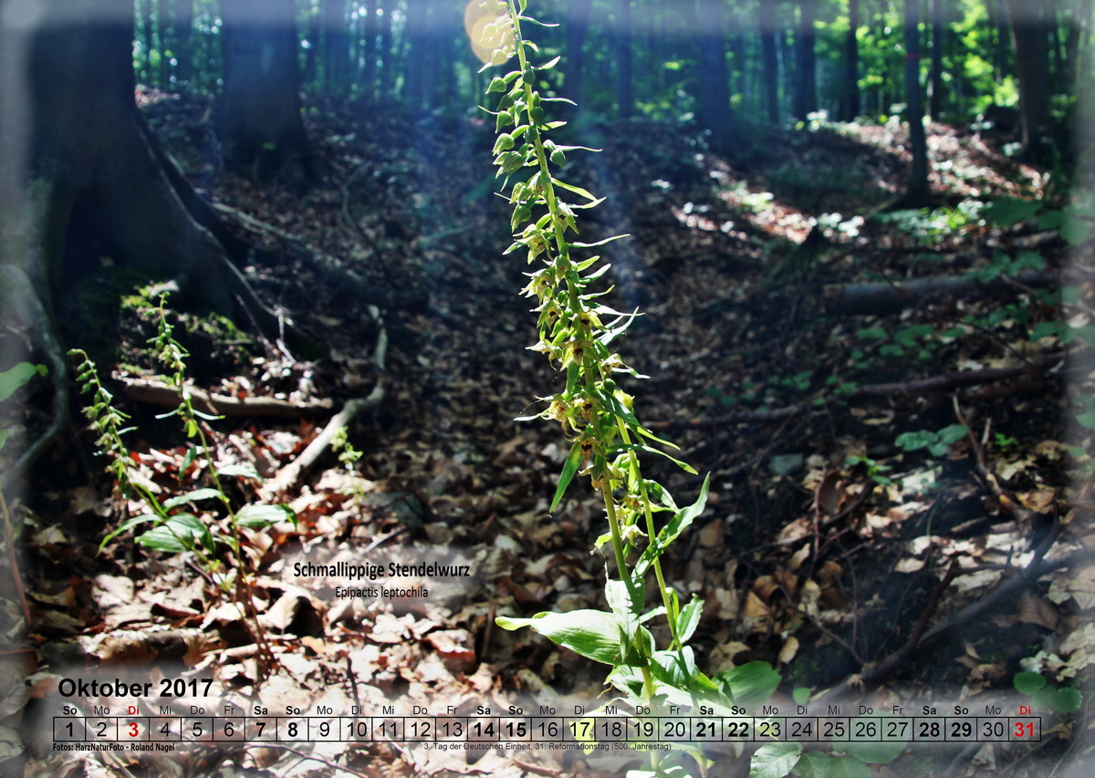 a10_Bildgr��e �ndern