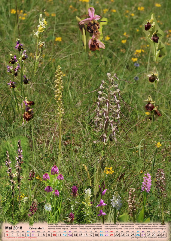 vorlage05-9_Bildgr��e �ndern