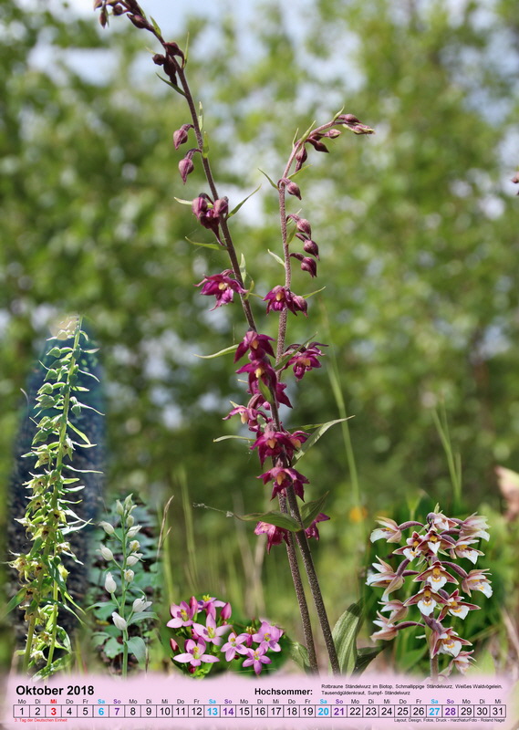 vorlage10-9_Bildgr��e �ndern