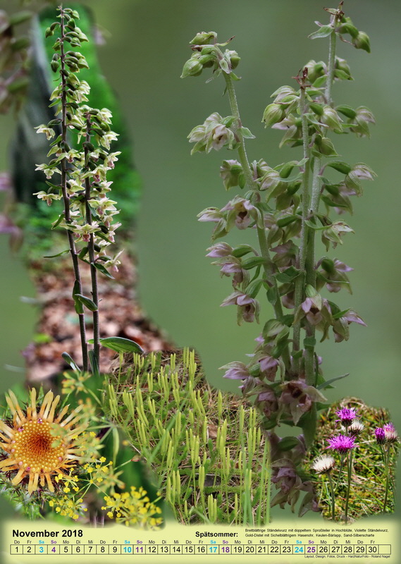 vorlage11-9_Bildgr��e �ndern